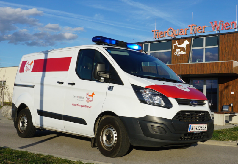  Mein ganz spezielles Firmenauto, Teil 12