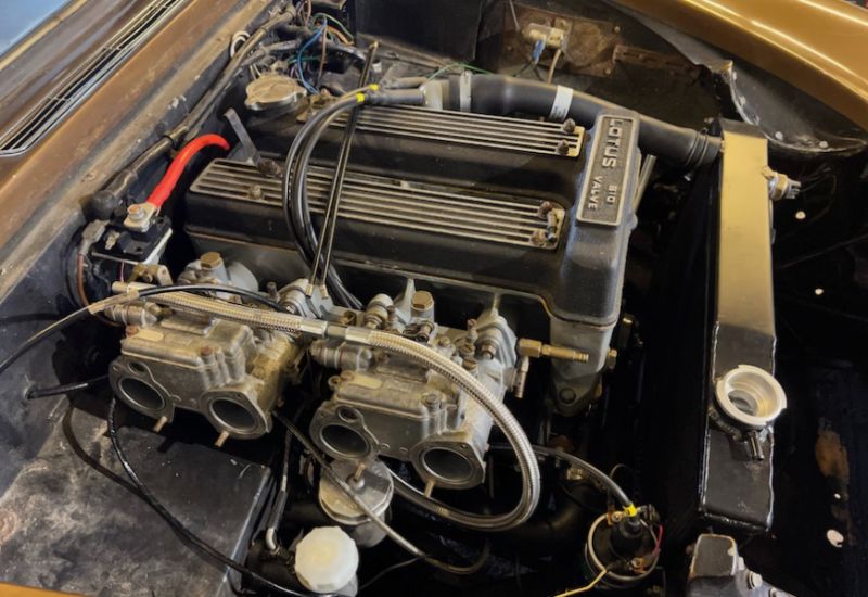  Video: Project Tawny, Teil 4