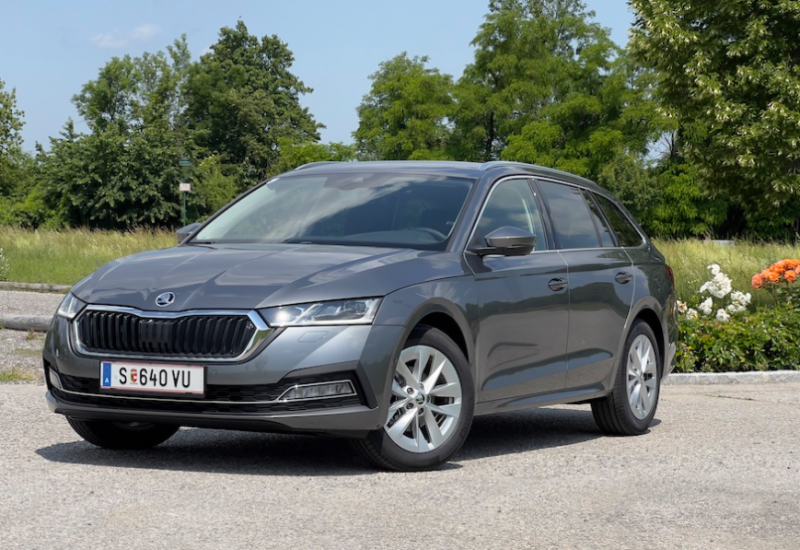  FLOTTEN Check: Skoda Octavia Combi