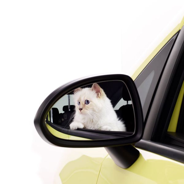  Opel lässt die Katze aus dem Sack