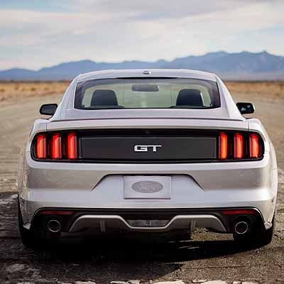  Wildpferde galoppieren nach Österreich