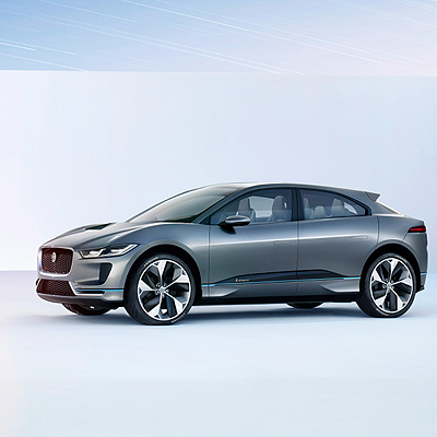  Elektrisierende Raubkatze