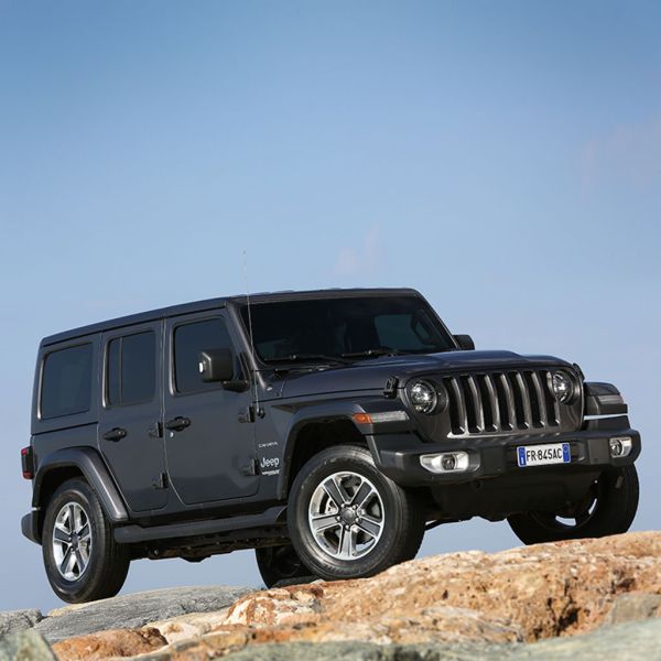  Kommoder Pferdetreiber