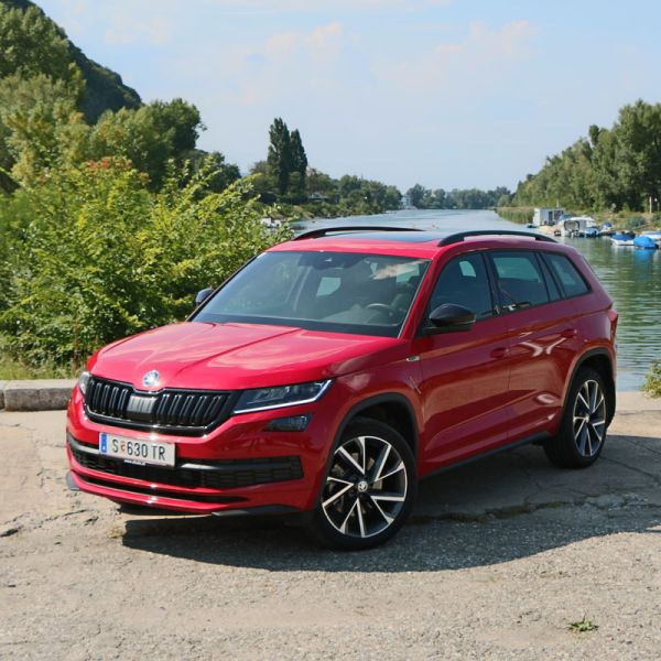  Bärenstarker Auftritt