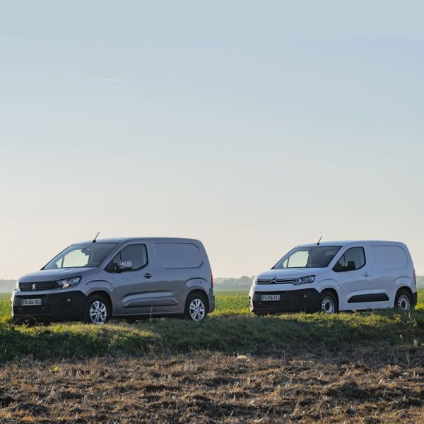  Zweieiige Hackler-Zwillinge