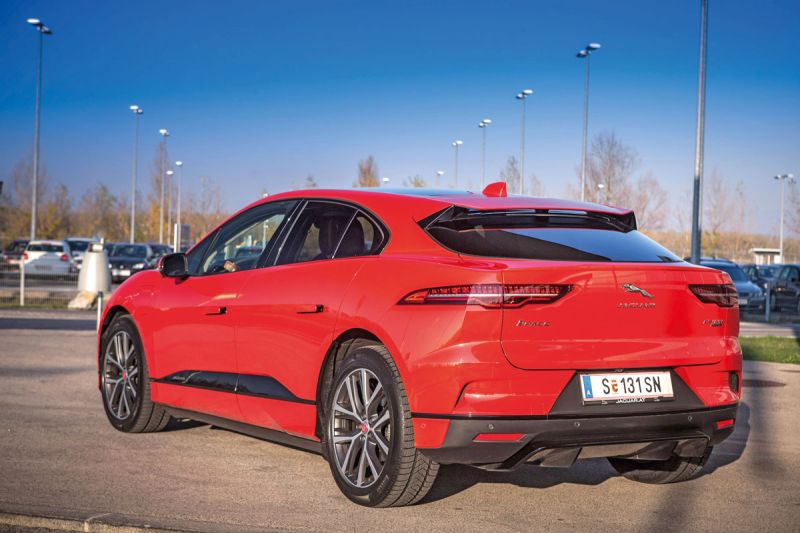  Da ist der Wurm in der Katze