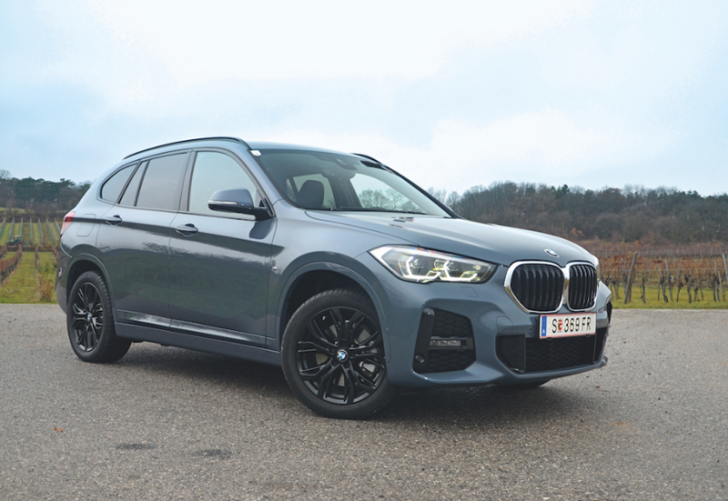  Natürlich die Nieren