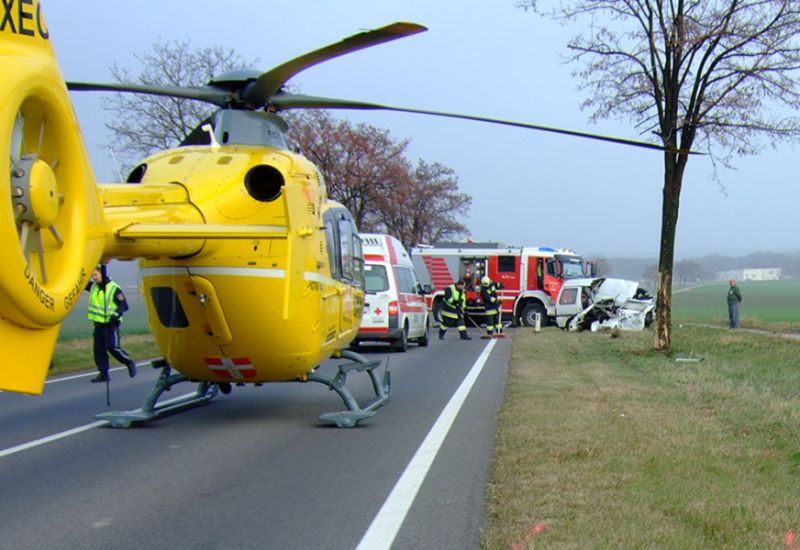  Warnsignal: Über 500 tote Gurtmuffel seit 2012