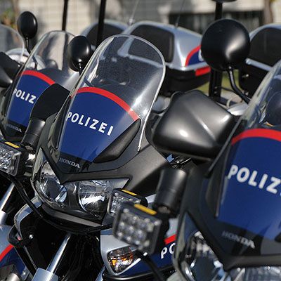  Pfeilschnell und wendig