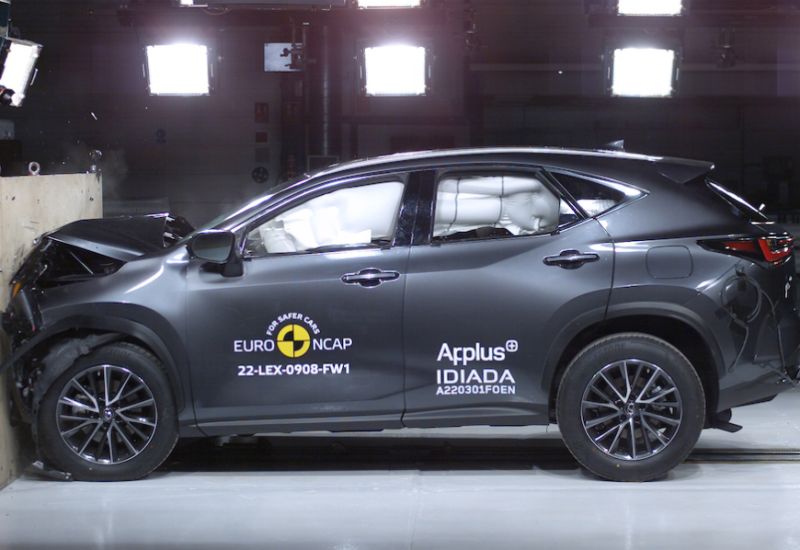  Mehr als blasse Mauerblümchen