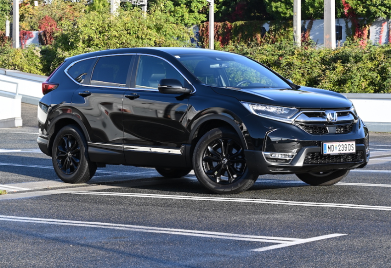  Kein Muff unter den Talaren