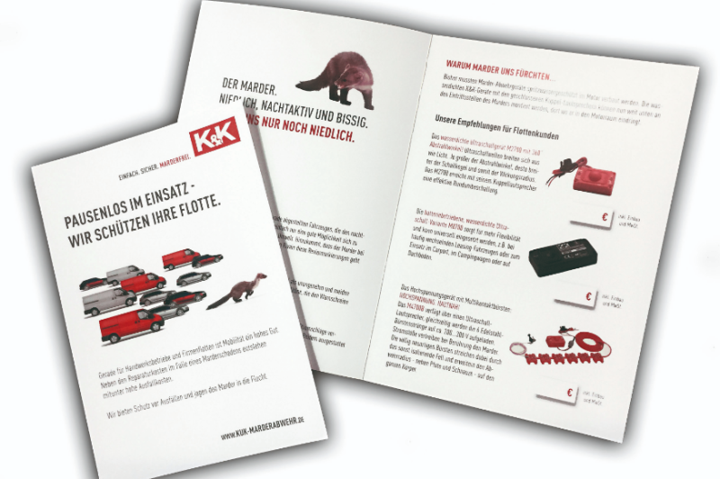    Kein Gusto  aufs Elektroauto