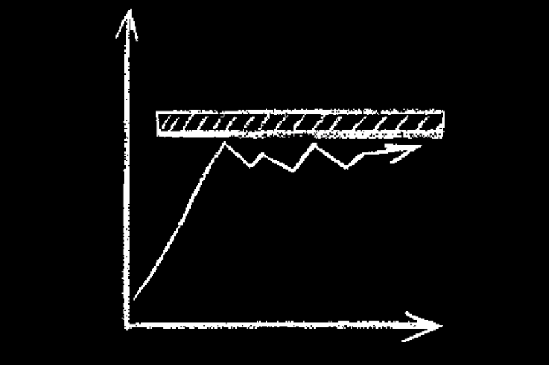  Weiter auf hohem Niveau