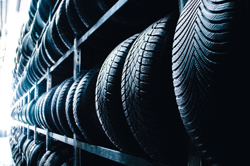  Die Explosion der Vielfalt